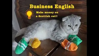 Кошки-Варежки! Make money on a Scottish cat. Make profit on Kitten Mittens!