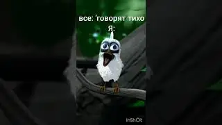 птица орет