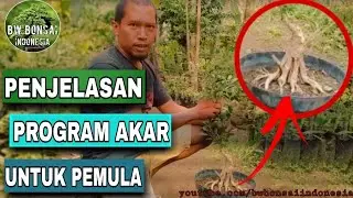 PENJELASAN TENTANG PROGRAM AKAR PECAH BATANG #LS net.