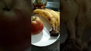 Leàrn about fruits for nursery class