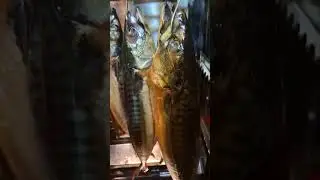 Mackerel, Herring, and Yellowtail. Smoking with electrostatics. Excellent results!