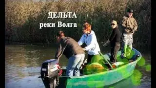 Дельта 2010. Бабье лето (Трейлер) - Delta 2010 (Trailer)