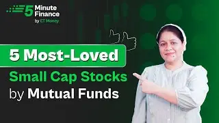 Five Favourite Small Cap Stocks of Mutual Funds | Where Mutual Funds Invest?