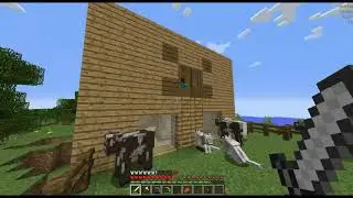 Error Minecraft растянутое выживание с геем 4