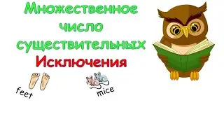 Irregular plurals