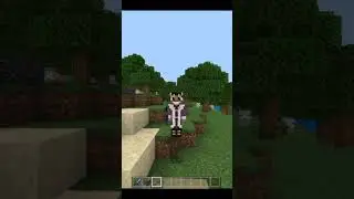 Minecraft CRAZY hidden details 😱 that  you never seen before #shorts