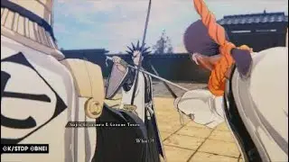 Bleach Civil War