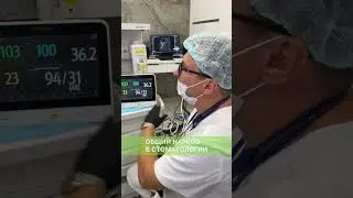 Нюансы общего наркоза в стоматологии
