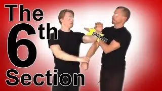 Wing Tsun 6th Chi Sau Section