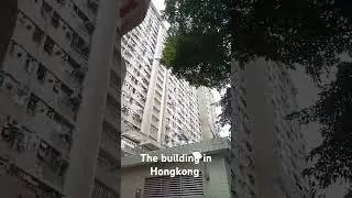 HONGKONG SORE HARI#hongkong #building #jakarta #jember #keretaapi
