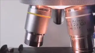 Reichert Microstar IV 410 Microscope