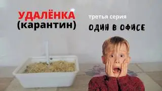Удалёнка (карантин). 3 серия. Один в офисе.