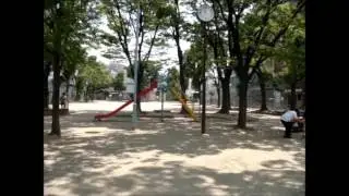 三津屋東公園　大阪市淀川区　２０１７年６月