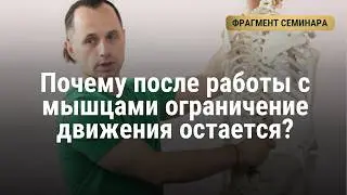 Почему после работы с мышцами ограничение движения остается? Часто причина — в самом суставе.
