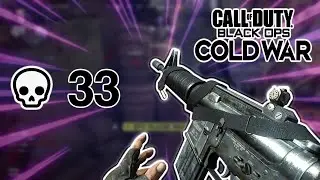 Finally Hit Max Level in Cold War! Road to Commander Finale 🎮