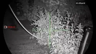FARMYARD RAT BUSTING