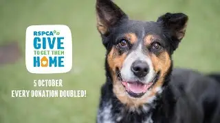 2023 Give to Get Them Home - Every donation DOUBLED!