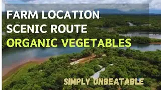THE BEST SUSTAINABLE ORGANIC FARM in the most BEAUTIFUL LOCATION... KITANG KITA ang KITA!!!!