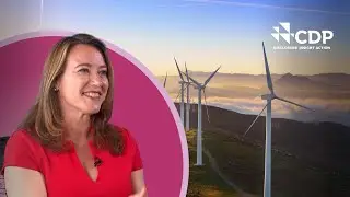How the financial sector can drive the green transition