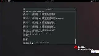 4  Getting Help, IO & Shell Variables Commands in RHEL 8