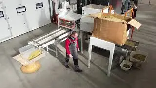 Small chamomile processing line