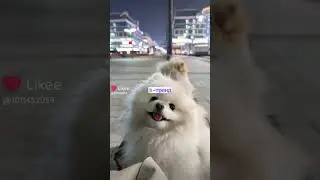22 октября 2023 г.