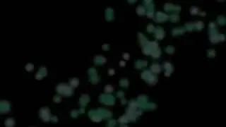 Зміцер Вайцюшкевіч - Калыханка для дарослых (2007)