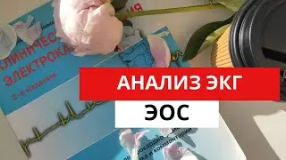 Анализ ЭКГ. Определение  ЭОС- электрической оси сердца. (для студентов)