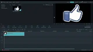como censurar en Wondershare Filoma