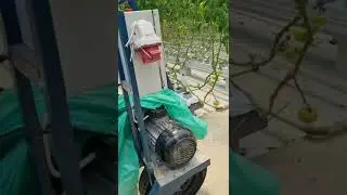 Томат Киото гидропогика Курганинск
