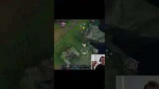 Talon Support 