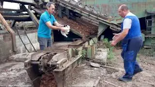 Щенячьи спасатели...