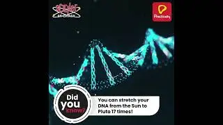 Interesting Fact About DNA | Science Be Crazy