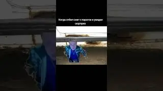 Когда отбил снег и увидел сюрпрайз
