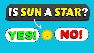 50 Fun Yes or No Questions for Kids! 🐶🍦🍕
