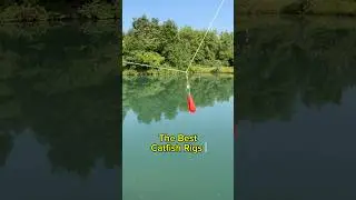 The BEST Catfish Rigs For BANK Fishing!! 🎣 