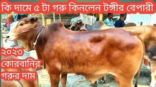 @শুক্রবার ৫/৫/২০২৩/৫টি ষাঁড় গরু কি দামে কিনলেন টঙ্গীর বেপারী/কোরবানি উপযোগী সারগুরুর দাম/cow market