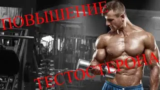 Повышение тестостерона у мужчин