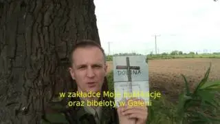 ZAPOWIEDŹ POD DĘBEM - NOWA SERIA 2017