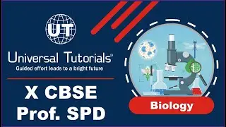 SND24 - X CBSE BIOLOGY SPD 14/04/2023 -  Life Processes