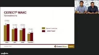 Эксперты о препарате для защиты семян СЕЛЕСТ® Макс