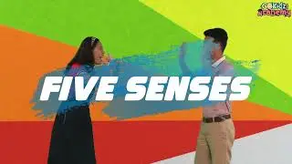 Science Song: Five Senses