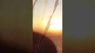 15 августа 2024 г.