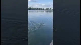 Рыбалка в карманово на технопланктон