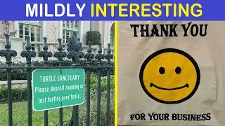 Mildly Interesting Pics To Bring You Some Temperate Amusement | Happy And Fun