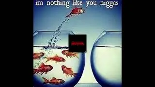 nun like yu ngas #memes #meme #reels #edits #clips #shorts #funny #trending