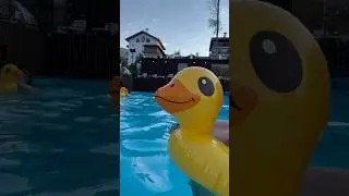Маленькие дзюдоисты на отдыхе. Привет всем кто смотрит 👋☀️💪