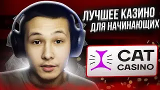 🎯 Казино с ЛУЧШИМИ УСЛОВИЯМИ для Новичков - Обзор на Cat Casino | Кэт Казино | Сайт Cat Casino