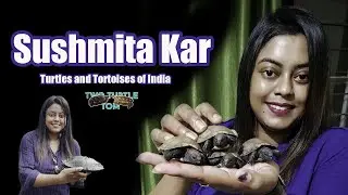 Sushmita Kar and the Turtles and Tortoises of India LIVE!