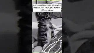 #раст #rust #мем